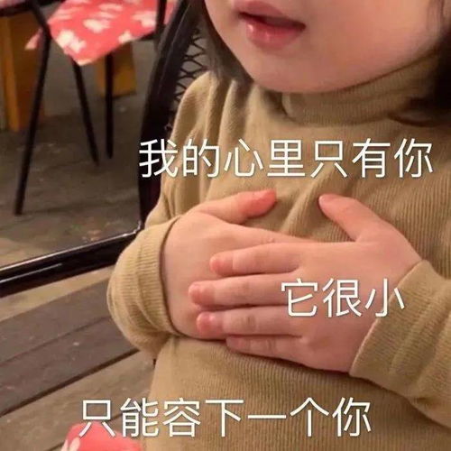幽默搞笑表情包喜欢我,就养我