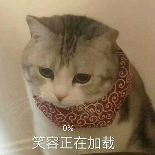 大家有没有表情包搞笑的拜托了缺表情包