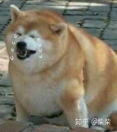 有没有沙雕动图表情包