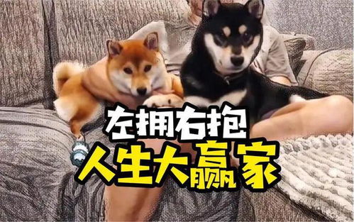 过年听来的新八卦爷爷奶奶出钱雇外公外婆带孙子,合理吗
