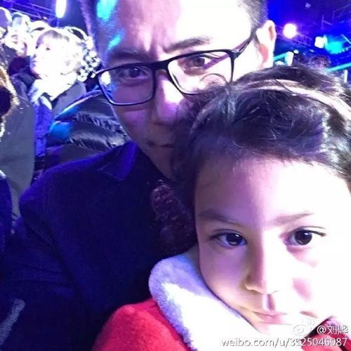 娱乐圈九大帅气爸爸,吴尊第一当之无愧