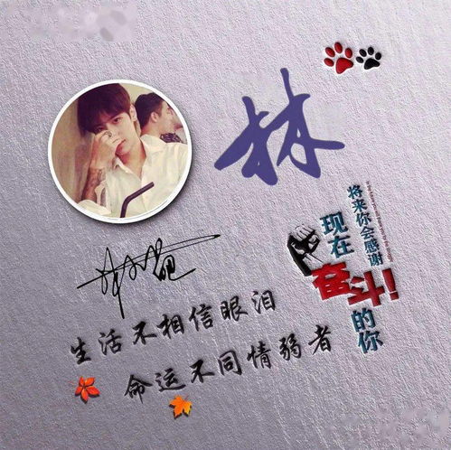 你微信头像该换了,12月头像更新了