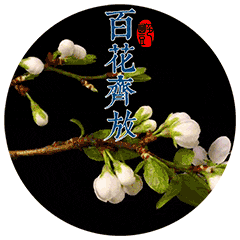 2019猪年,春节最全拜年表情包聊天不用打字的动态图片