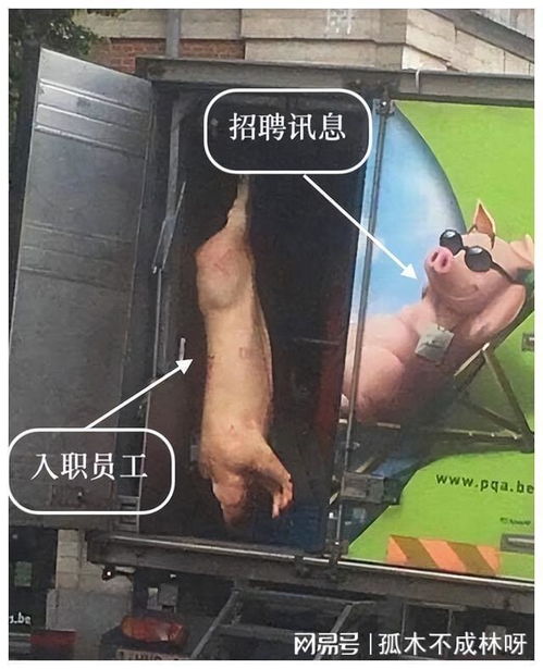 每日一笑长辈对表情包的误会,一个比一个好笑呀