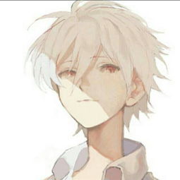 那个..有没有白发红瞳少年的动漫角色啊