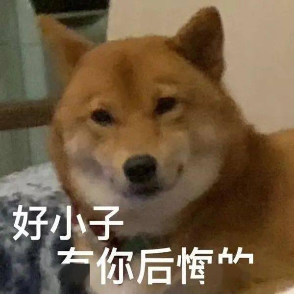 表情包动图男人不打不听话