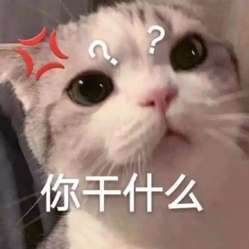 你们要的搞笑表情包来啦