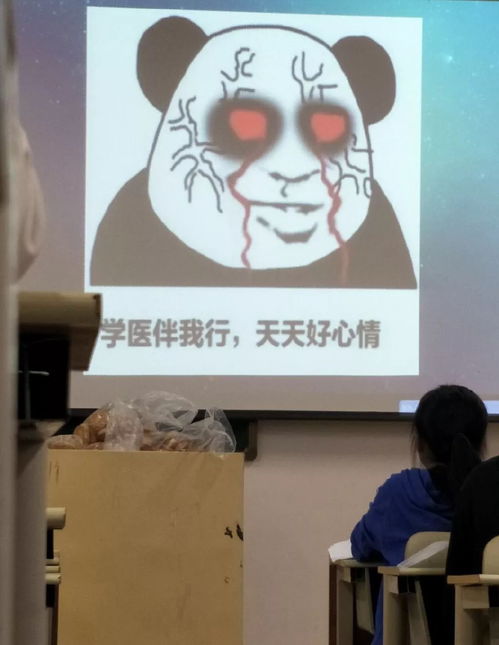 遇到用表情包上课的老师,学习生涯果然变得有趣一些了