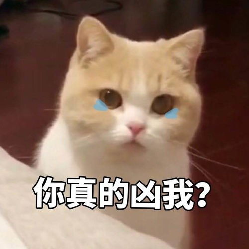 搞它一笑为你中午的好心情再献上5则优秀短笑话哦