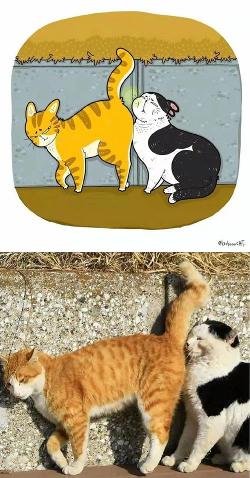福利爆笑沙雕猫画大赏,每一款都可爱到犯规