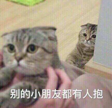 有人说割双眼皮要去专门的整形医院,千万别去公立的也有人说要去公立医院医生技术靠谱大家怎么看