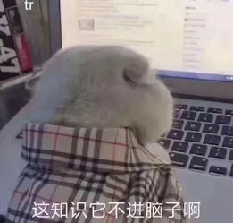 亲爱的热爱的里的宝藏男孩居然是厦门大学法学院校草