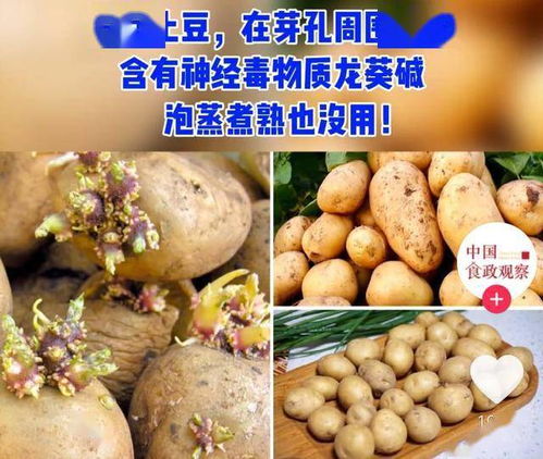 难怪孩子们不爱吃菜,原来好多蔬菜里有毒生物进化很有意思