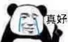 幽默搞笑表情包宝,你爱我吗