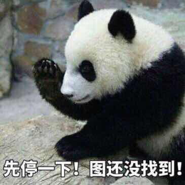 大路的相册动物表情包