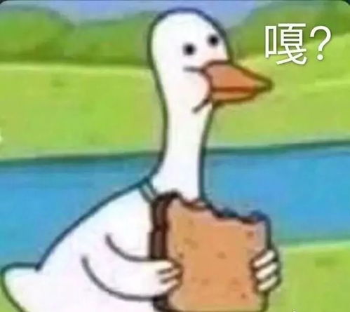 在华电遇到这种人,就叫他们狼燚吧