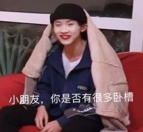 一组tnt时代少年团的沙雕表情包