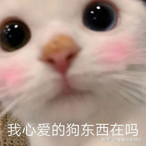 热门表情包图片气扁了,委屈到变形