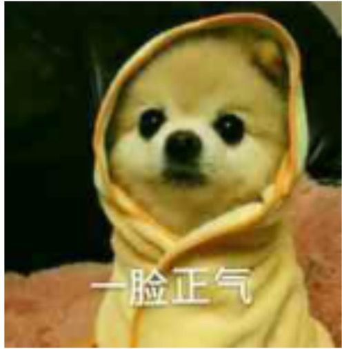 哇是真的近5万元奖金只因她举报了这类交通违法行为......