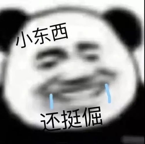 表情包全村人都在等你