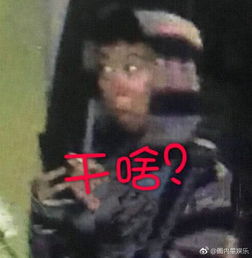 对不起没忍住笑窦靖童旅游回来黑的王菲都不认识了,表情包拿去