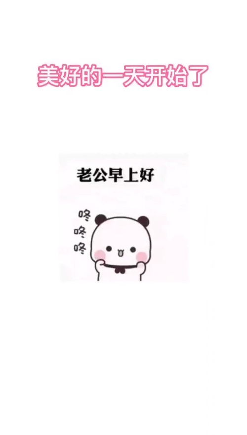 美好的一天表情包搞笑视频经典段子情侣夫妻