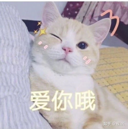 陪玩经验分享