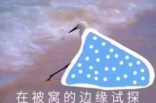 云和过冬的几种姿势,你学会了吗
