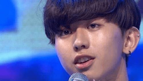 明明长得不好看,却被吹上天的明星有哪些呢