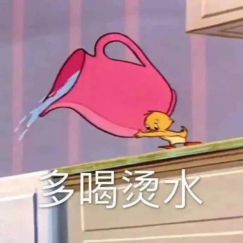 表情包文案搞笑猫和老鼠