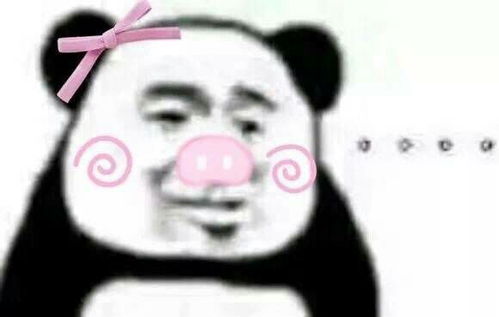 说说你是怎么和你喜欢的人相遇的