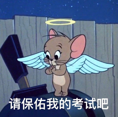艺术类考生选用203日语进行考研的优势