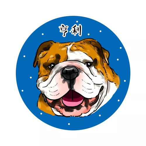 宠物斗牛犬可爱卡通漫画头像,你来嗮我来画