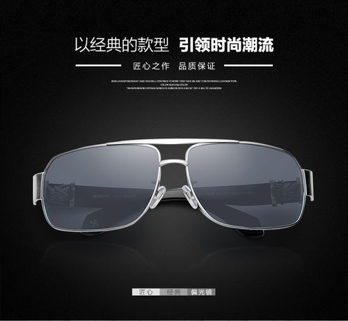 海俪恩horien太阳镜时尚潮偏光韩版小框方框偏光男款时尚墨镜hn110006多色可选