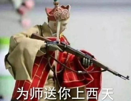选专业时脑子进的水到如今的表情包,简直很生动形象了