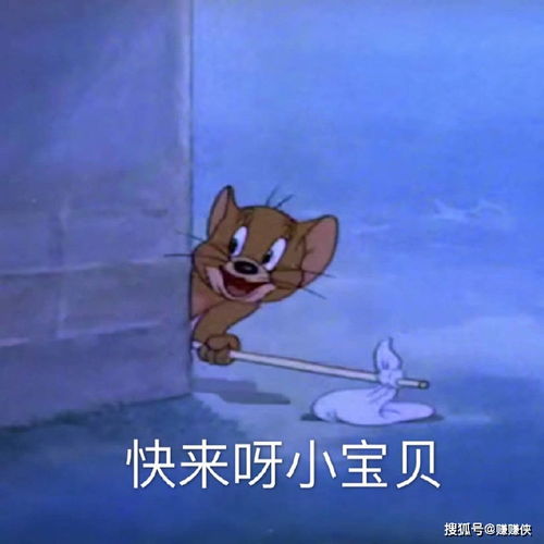 最新搞笑表情包图片快来呀,小宝贝,每天为你打call