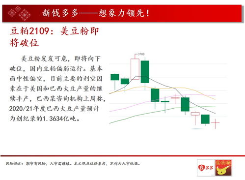 钱多多团队5月25日期货高清组图