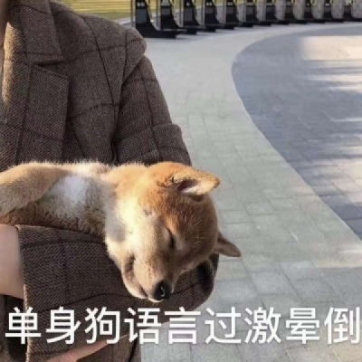 单身狗表情包头像,没有对象的必备头像