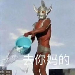 沙雕表情包大合集,相信总有一款适合你