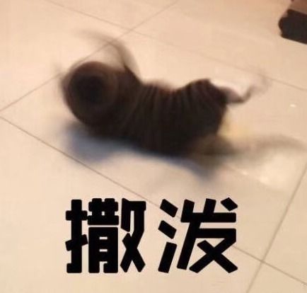 搞笑头像沙雕表情包开心笑话