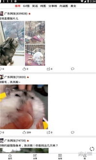 今日笑笑软件下载今日笑笑安卓版v1.0