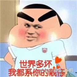 蜡笔小新表情包