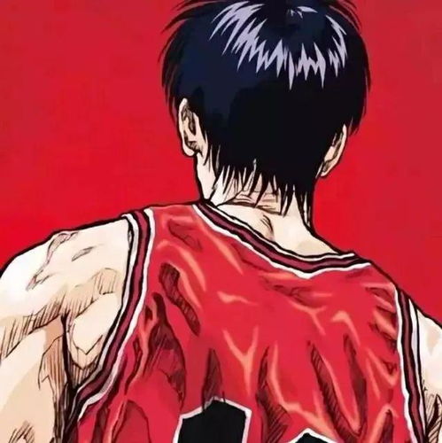 头像基友必备