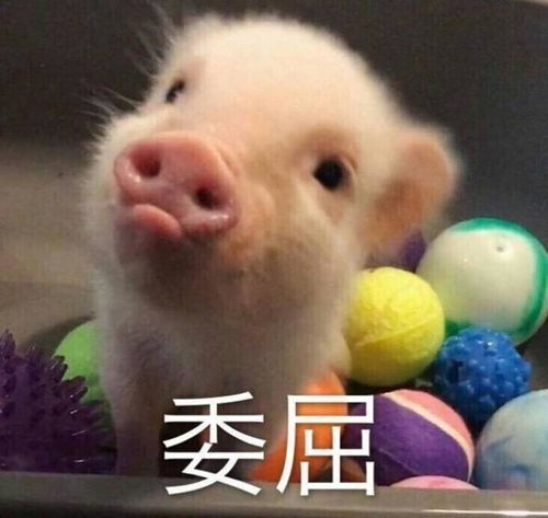 为什么刚开始玩虞姬总是赢,打了几百场之后总是输