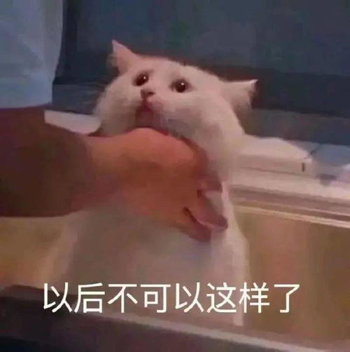 日常热门沙雕搞笑表情
