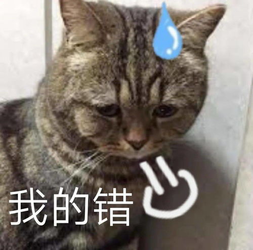 日常沙雕搞笑表情