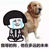 没想到全国彩礼排行榜上海礼金竟然排到