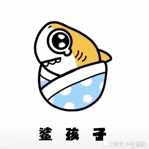 每日一笑,大家都见过什么搞笑的神评