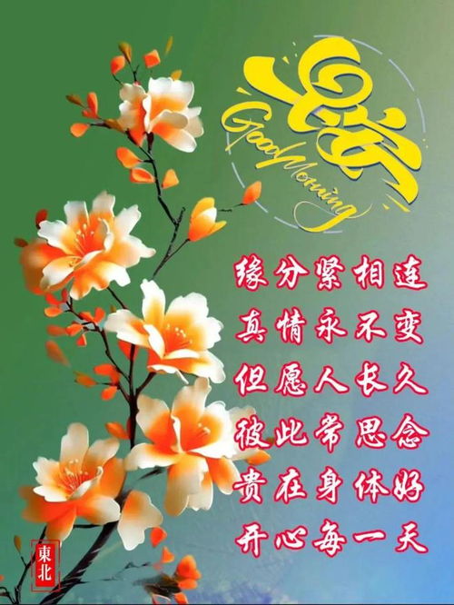 1月16日早安祝福语表情图片大全带问候语,愿君周二愉快,吉祥安康