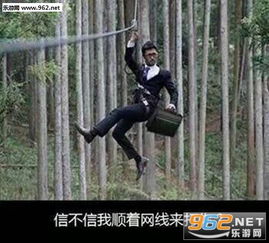 搞笑斗图动态表情包网络用语